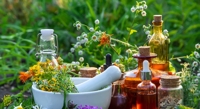 Medicinal herbs and tinctures alternative medicine. Selective focus. Medicinal herbs and tinctures alternative medicine