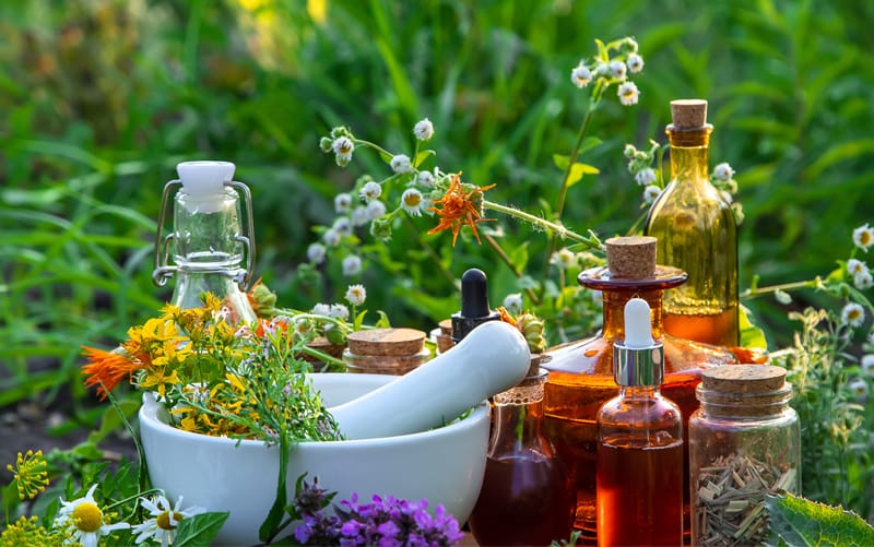Medicinal herbs and tinctures alternative medicine