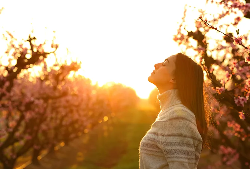What is Alkaline Elevation
