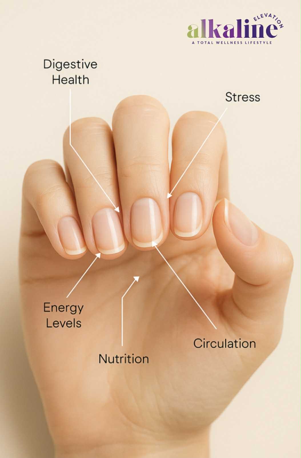 Nail Reading – Discover What Your Nails Reveal About Your Health